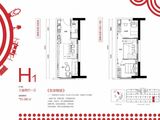 碧桂园蜜柚_3室2厅1卫 建面51平米